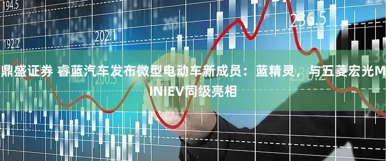 鼎盛证券 睿蓝汽车发布微型电动车新成员：蓝精灵，与五菱宏光MINIEV同级亮相