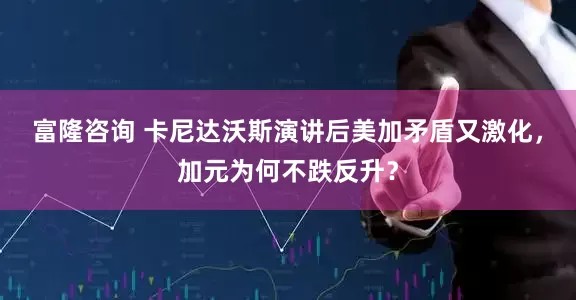 富隆咨询 卡尼达沃斯演讲后美加矛盾又激化，加元为何不跌反升？