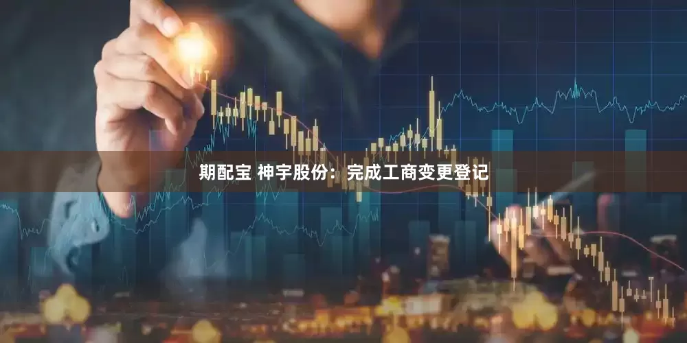 期配宝 神宇股份：完成工商变更登记